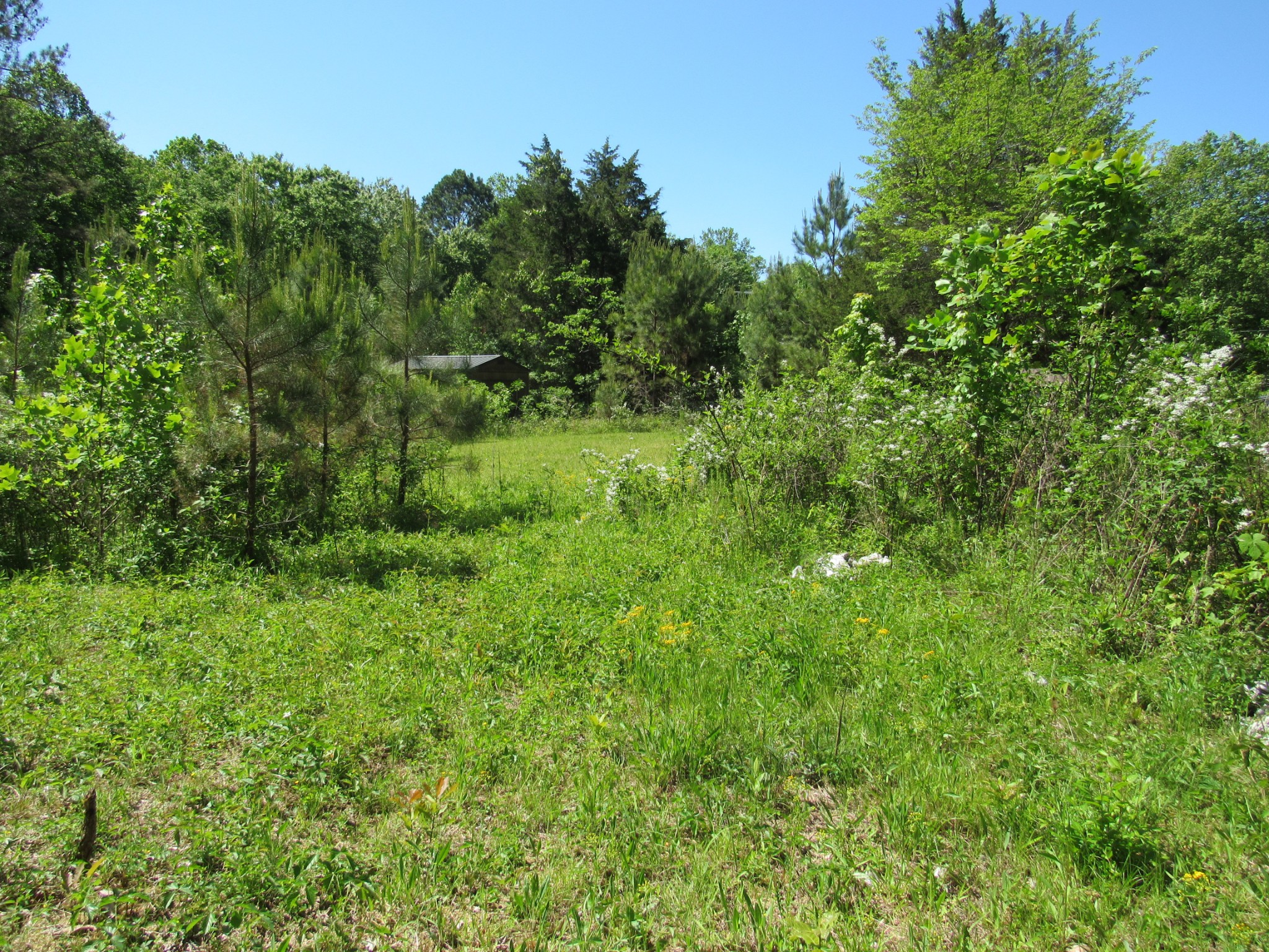 995 Old Railroad Bed Road Taft, TN 38488 - Photo 16 of 18 Gallery Image 16