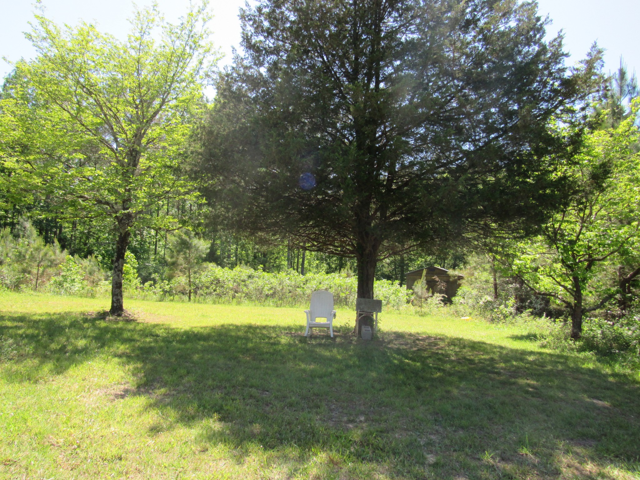 Gallery Image 7