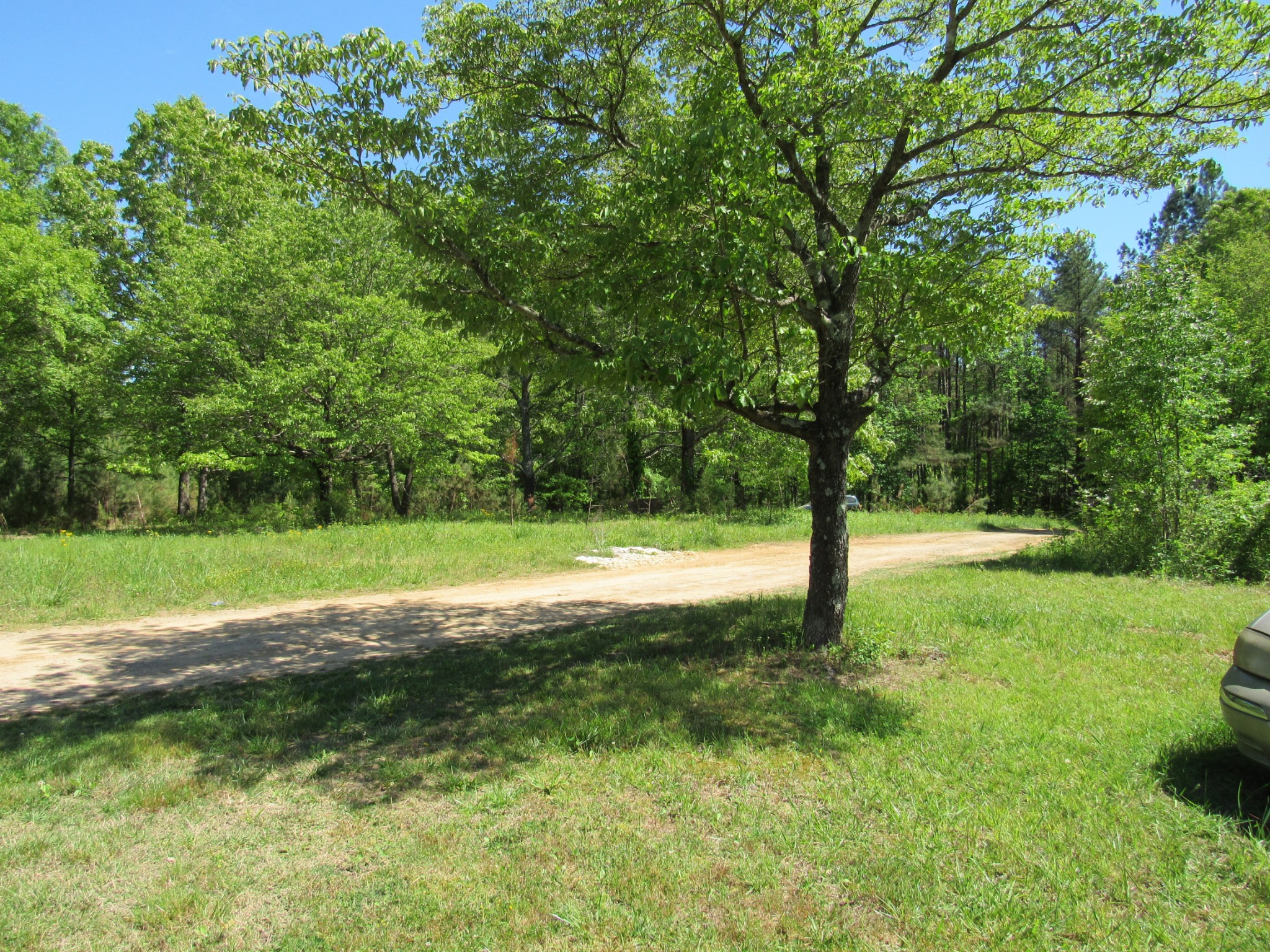 995 Old Railroad Bed Road Taft, TN 38488 - Photo 8 of 18 Gallery Image 8