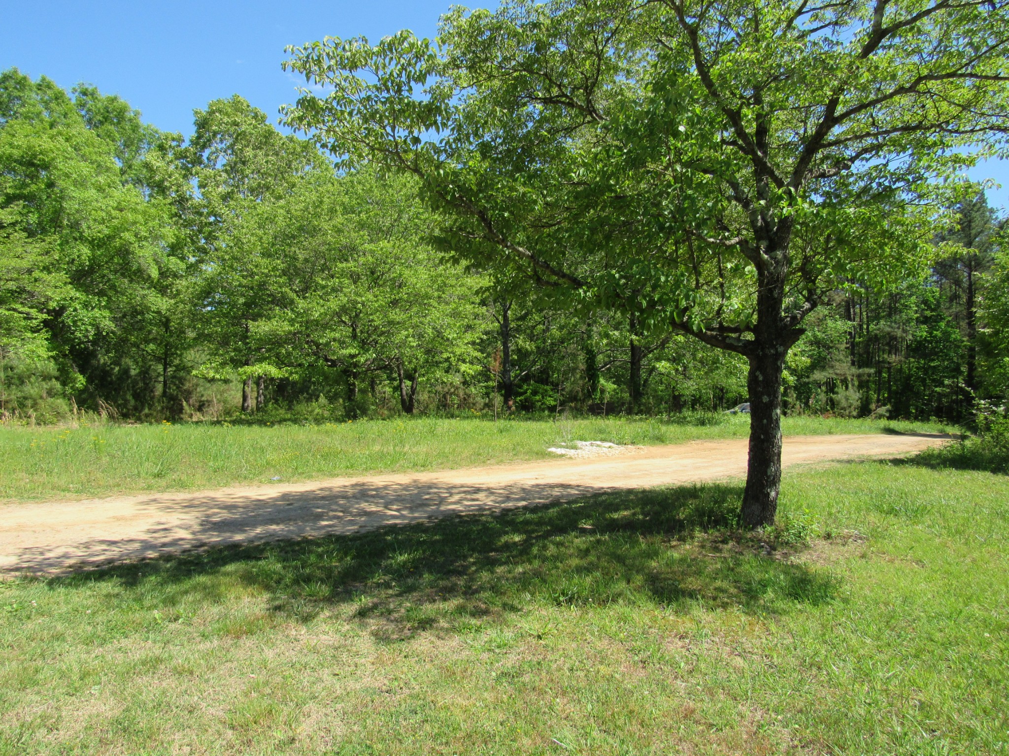 995 Old Railroad Bed Road Taft, TN 38488 - Photo 9 of 18 Gallery Image 9