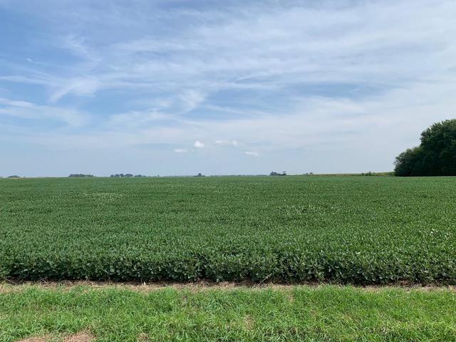 2000 East Woods Road Gardner, IL 60424 - Photo 1 of 7 a view of a green field with clear sky