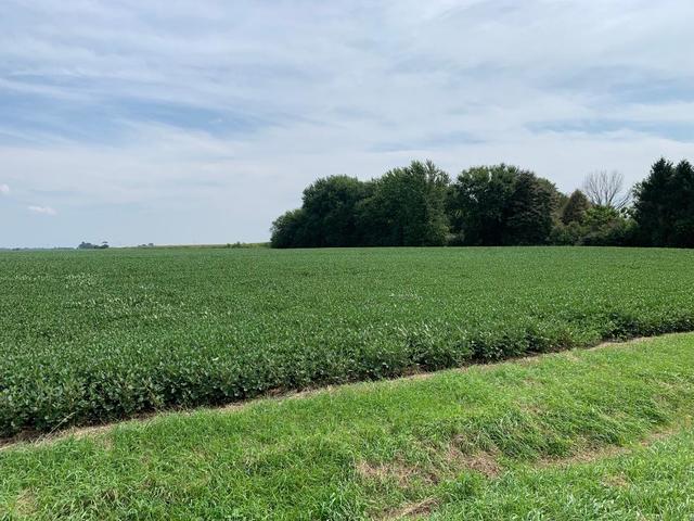 2000 East Woods Road Gardner, IL 60424 - Photo 7 of 7 a view of field with grass and trees