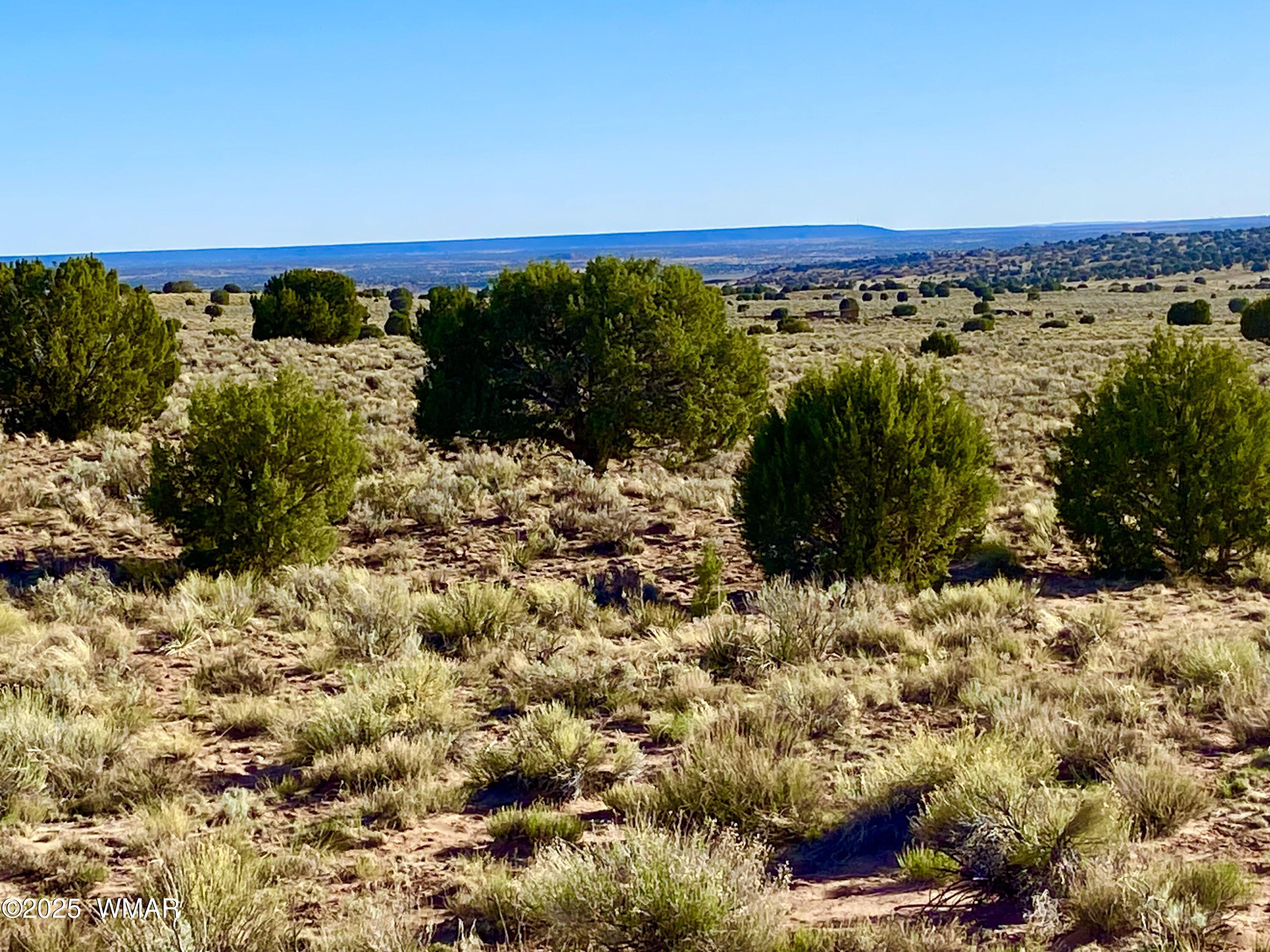 River River Meadows Ranch Concho, AZ 85924 - Photo 9 of 22