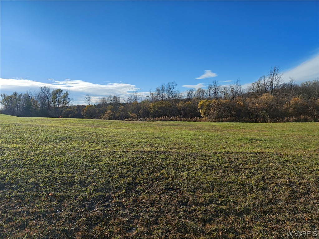 0 Donahue Road Batavia, NY 14020 - Photo 1 of 5