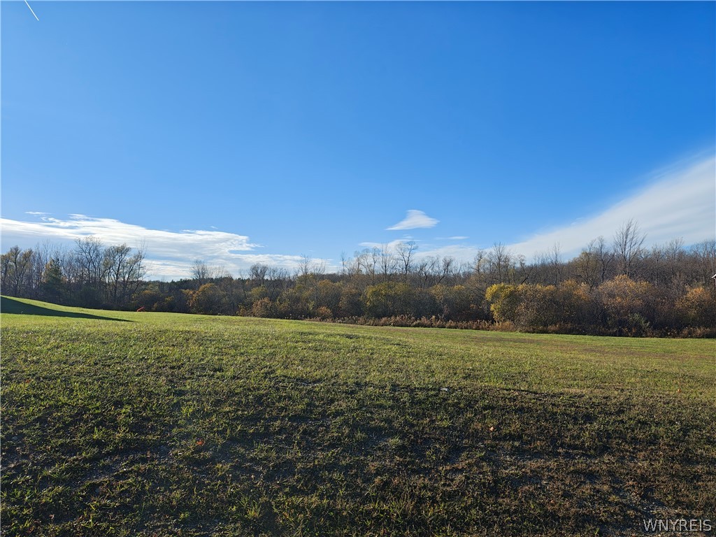 0 Donahue Road Batavia, NY 14020 - Photo 4 of 5