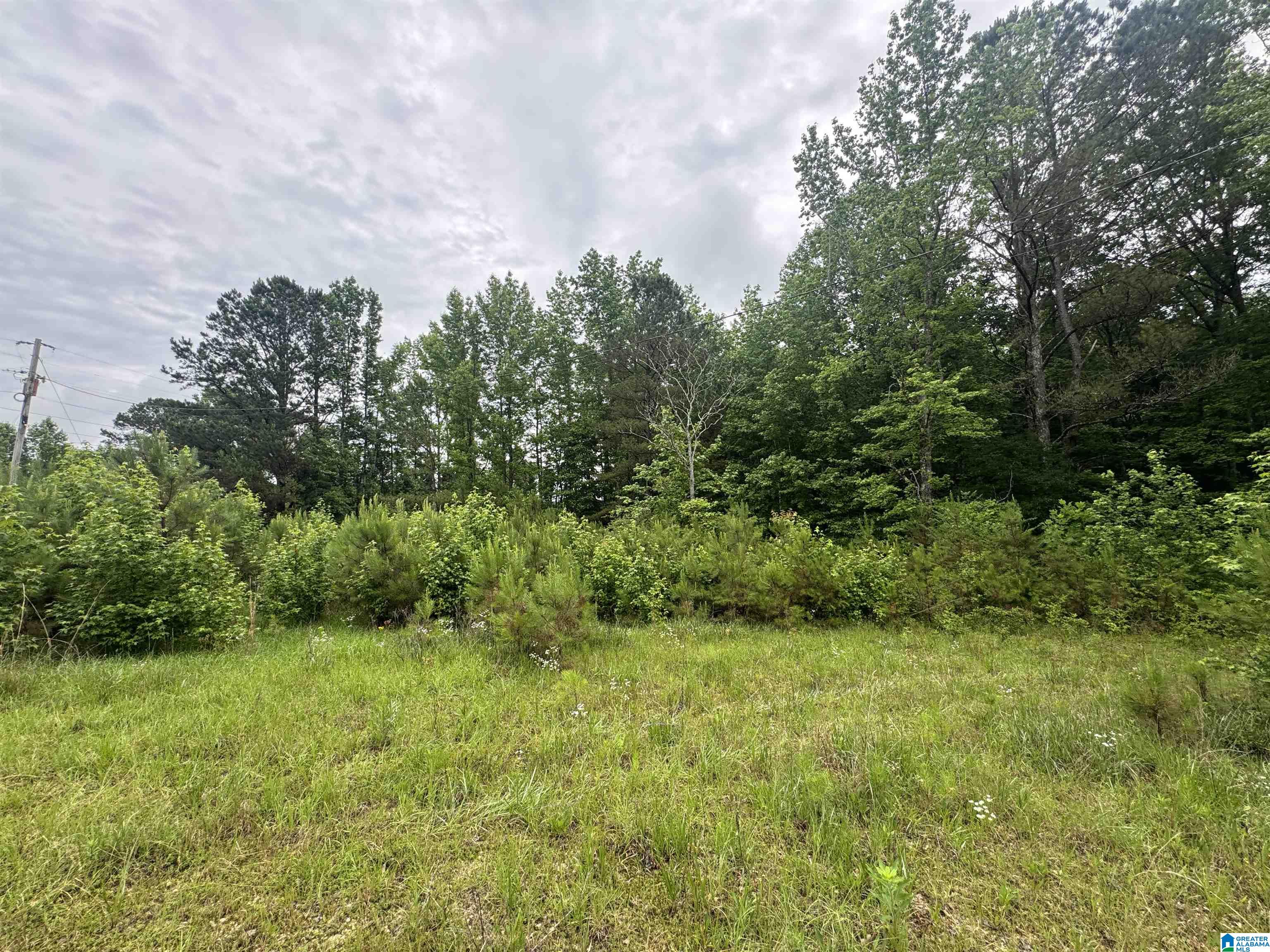 200 Welcome Road Haleyville, AL 35565 - Photo 6 of 6