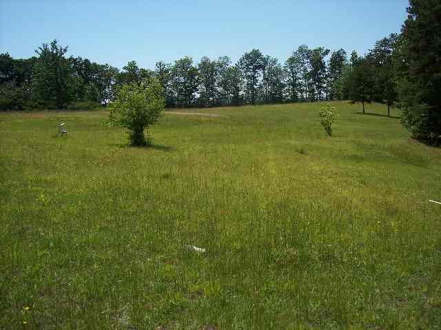 816 West Union Road West Union, SC 29696 - Photo 2 of 6 Gallery Image 2