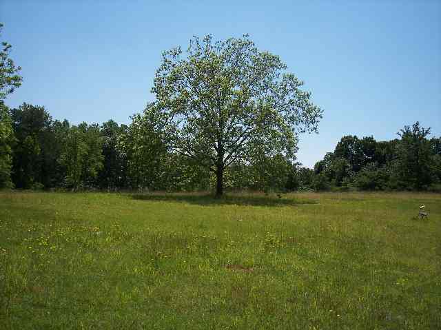 816 West Union Road West Union, SC 29696 - Photo 4 of 6 Gallery Image 4