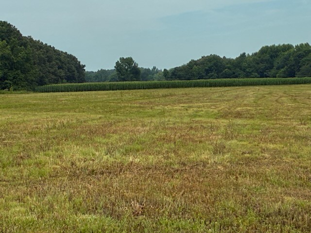 0 Rushing Road Ethridge, TN 38456 - Photo 7 of 9