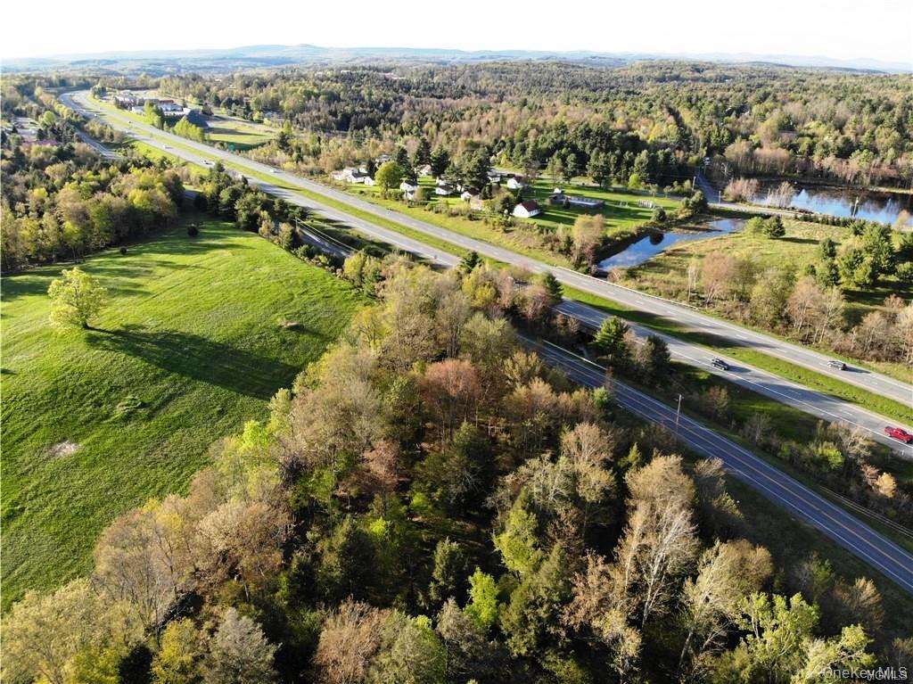 0 Benmosche Road Monticello, NY 12701 - Photo 4 of 19 Gallery Image 4