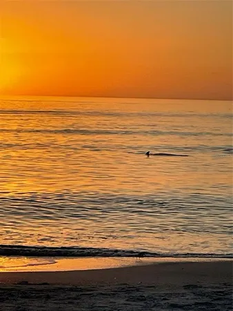 a view of beach and ocean