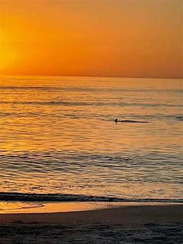 a view of beach and ocean