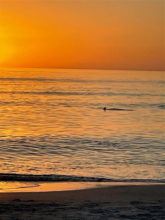 618 Bayport Way, Unit 618 Longboat Key, FL 34228 - Photo 43 of 47 a view of ocean view with ocean