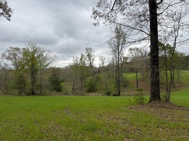 434 Walnut Creek Road Simsboro, LA 71275 - Photo 5 of 16