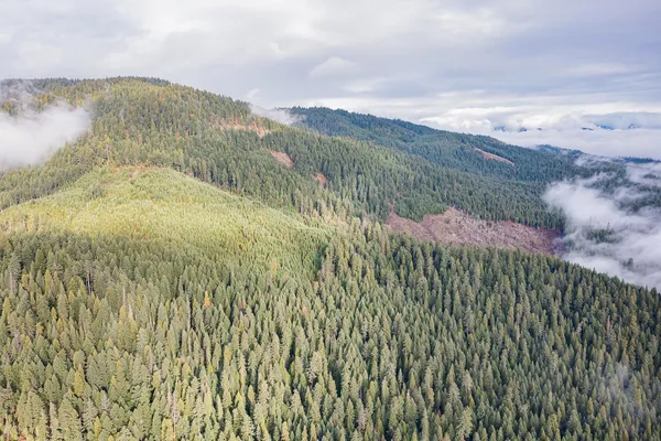 $249,000 | River Road, Trail, OR 97541