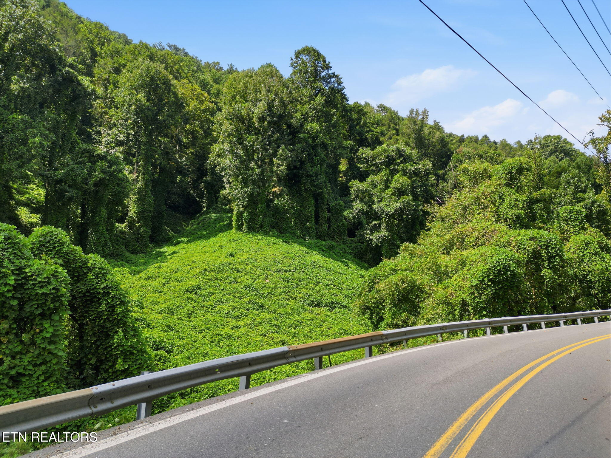 3910 Wilhite Road Sevierville, TN 37876 - Photo 44 of 45 43-web-or-mls-DJI_0989