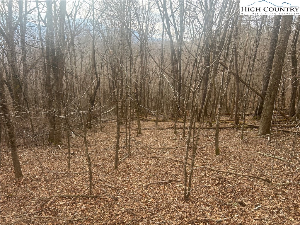 Rainbow Ridge Road Zionville, NC 28698 - Photo 2 of 8 a view of a pathway