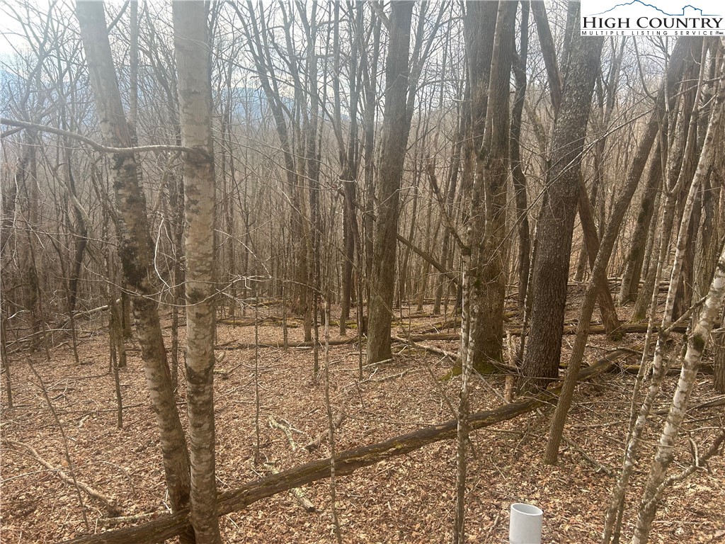 Rainbow Ridge Road Zionville, NC 28698 - Photo 5 of 8 a bathroom with a shower