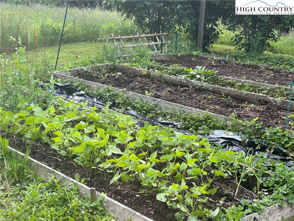 Rainbow Ridge Road Zionville, NC 28698 - Photo 8 of 8 a backyard of a house with lots of green space
