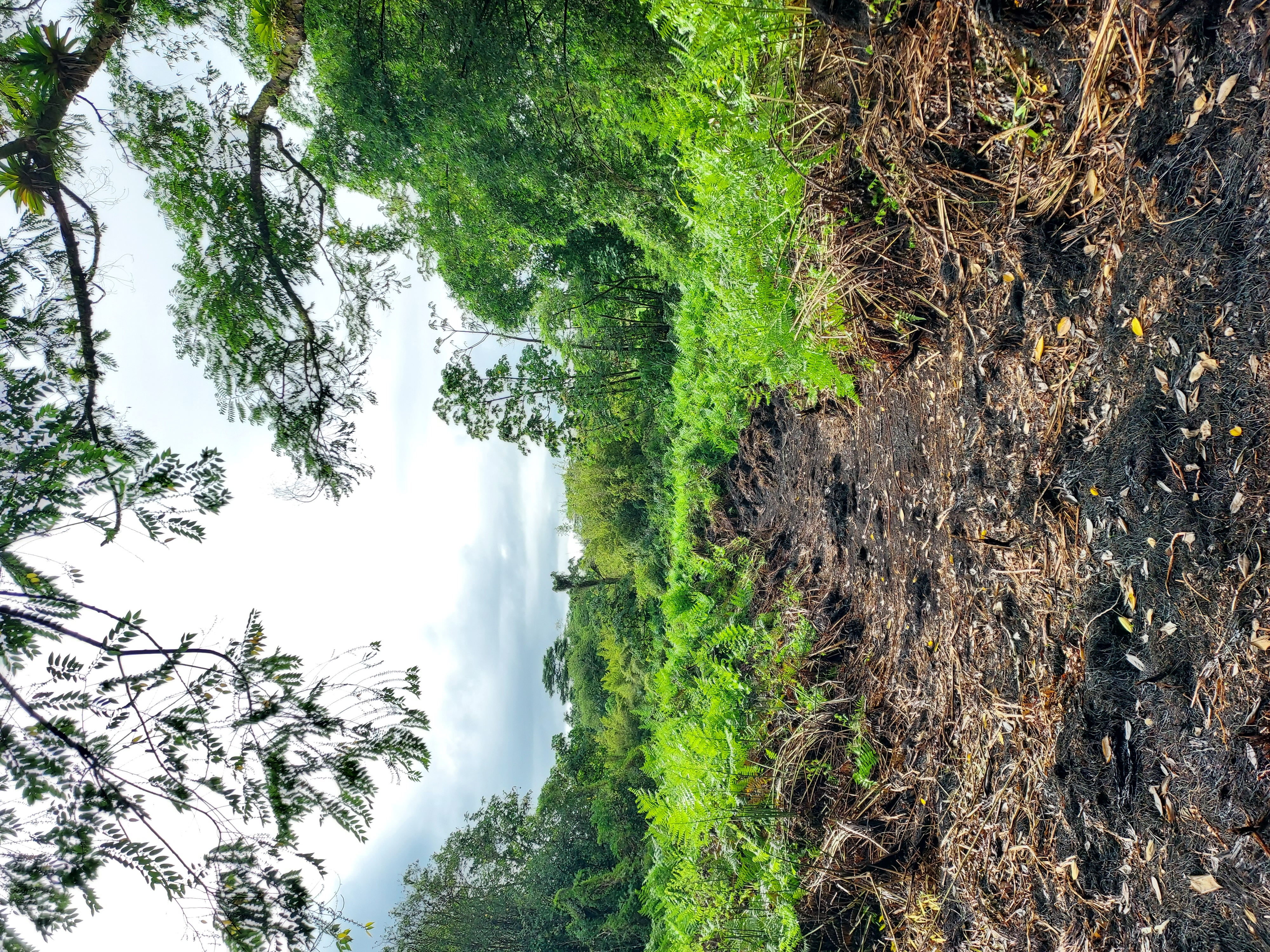 17-737 Lot A Ala Loop Mountain View Kurtistown, HI 96760 - Photo 12 of 28