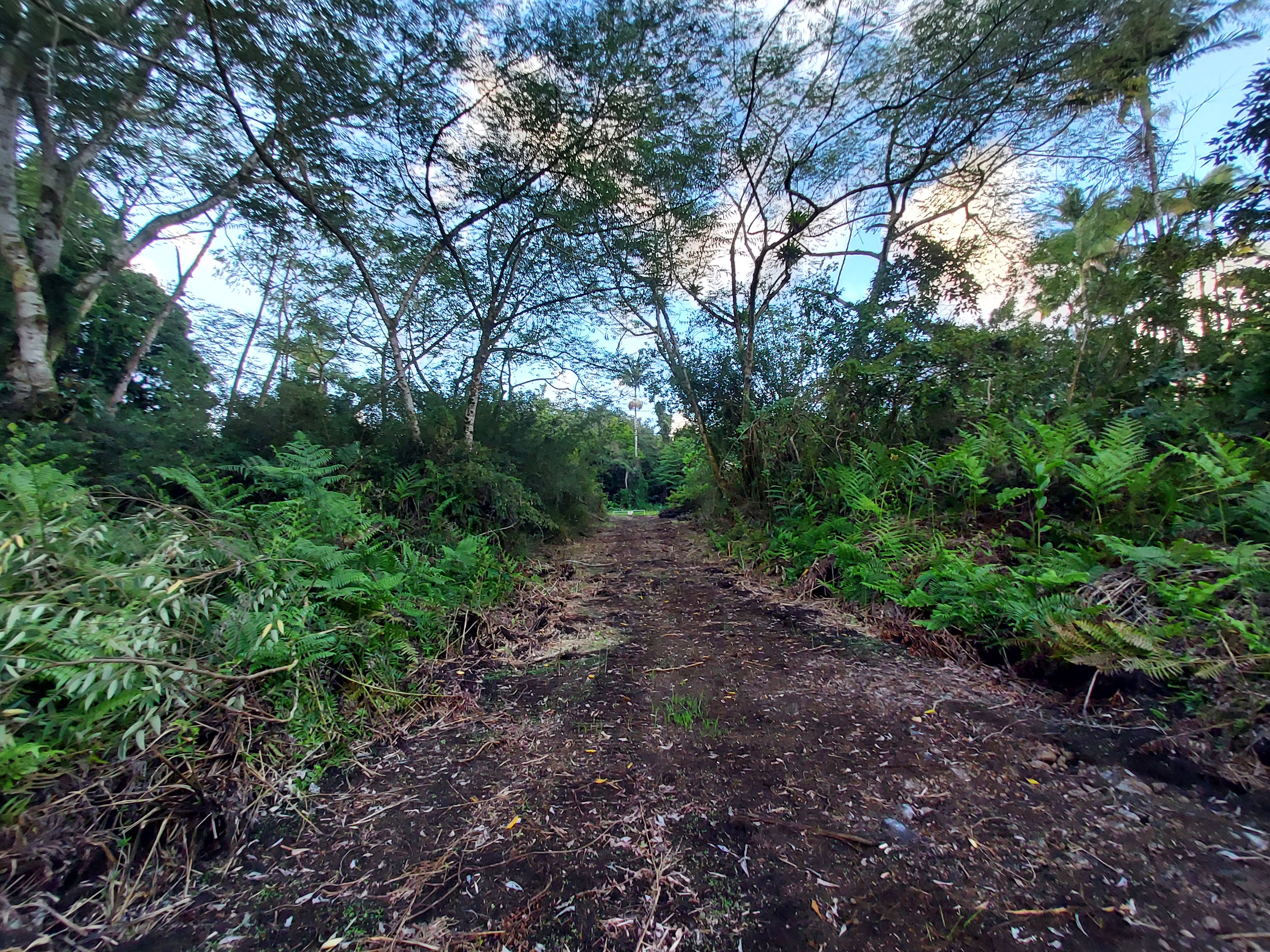 17-737 Lot A Ala Loop Mountain View Kurtistown, HI 96760 - Photo 14 of 28