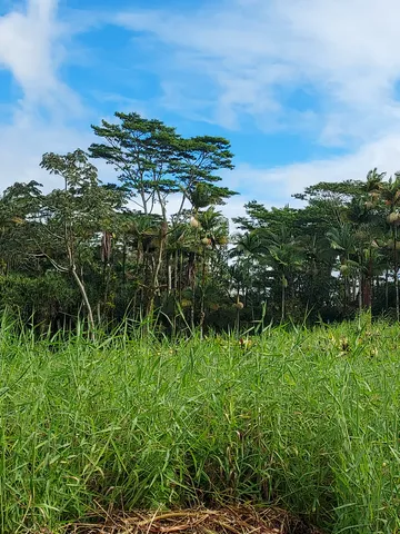 a bed with pink sheets and pillows on it