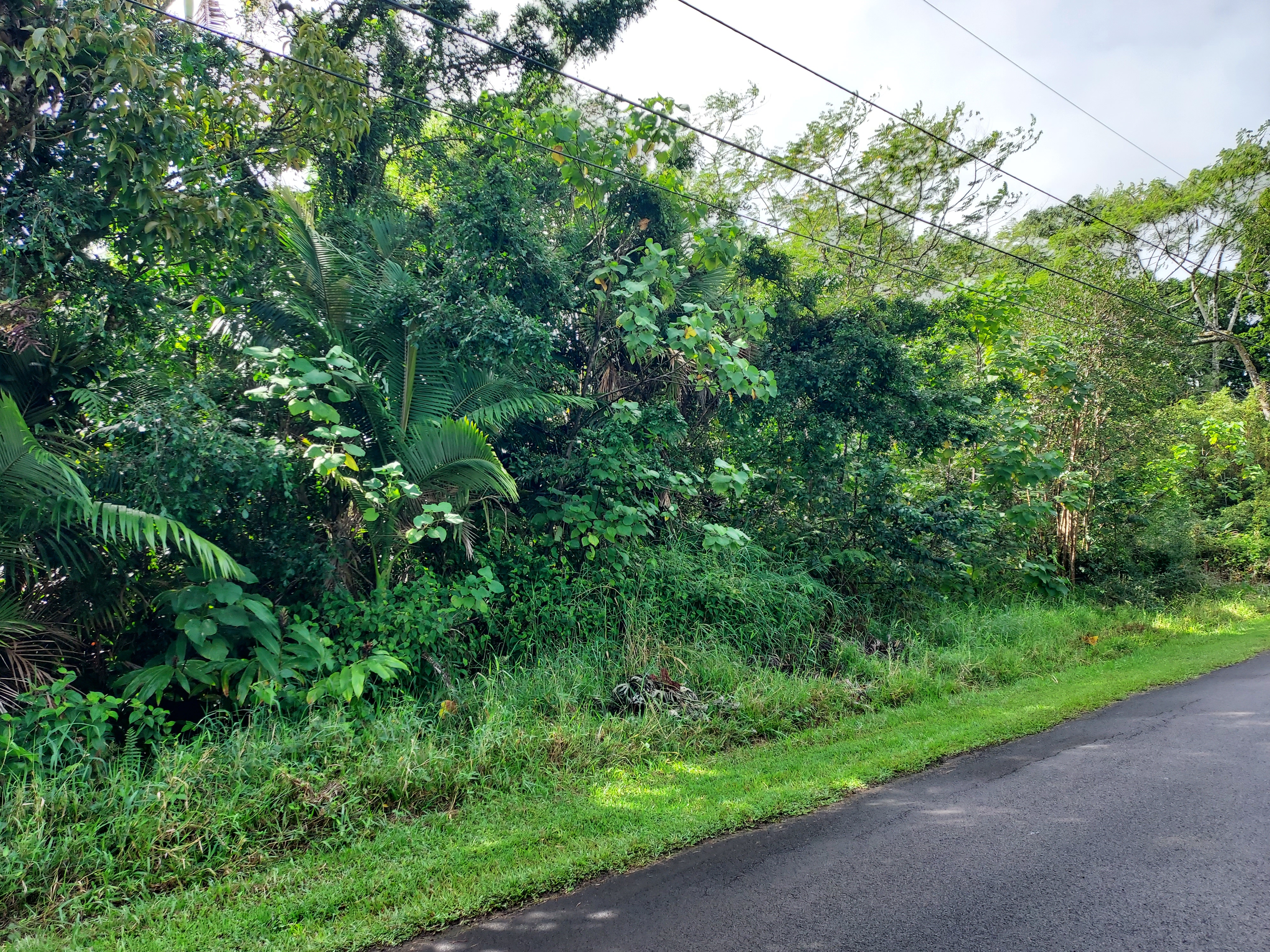 17-737 Lot A Ala Loop Mountain View Kurtistown, HI 96760 - Photo 19 of 28