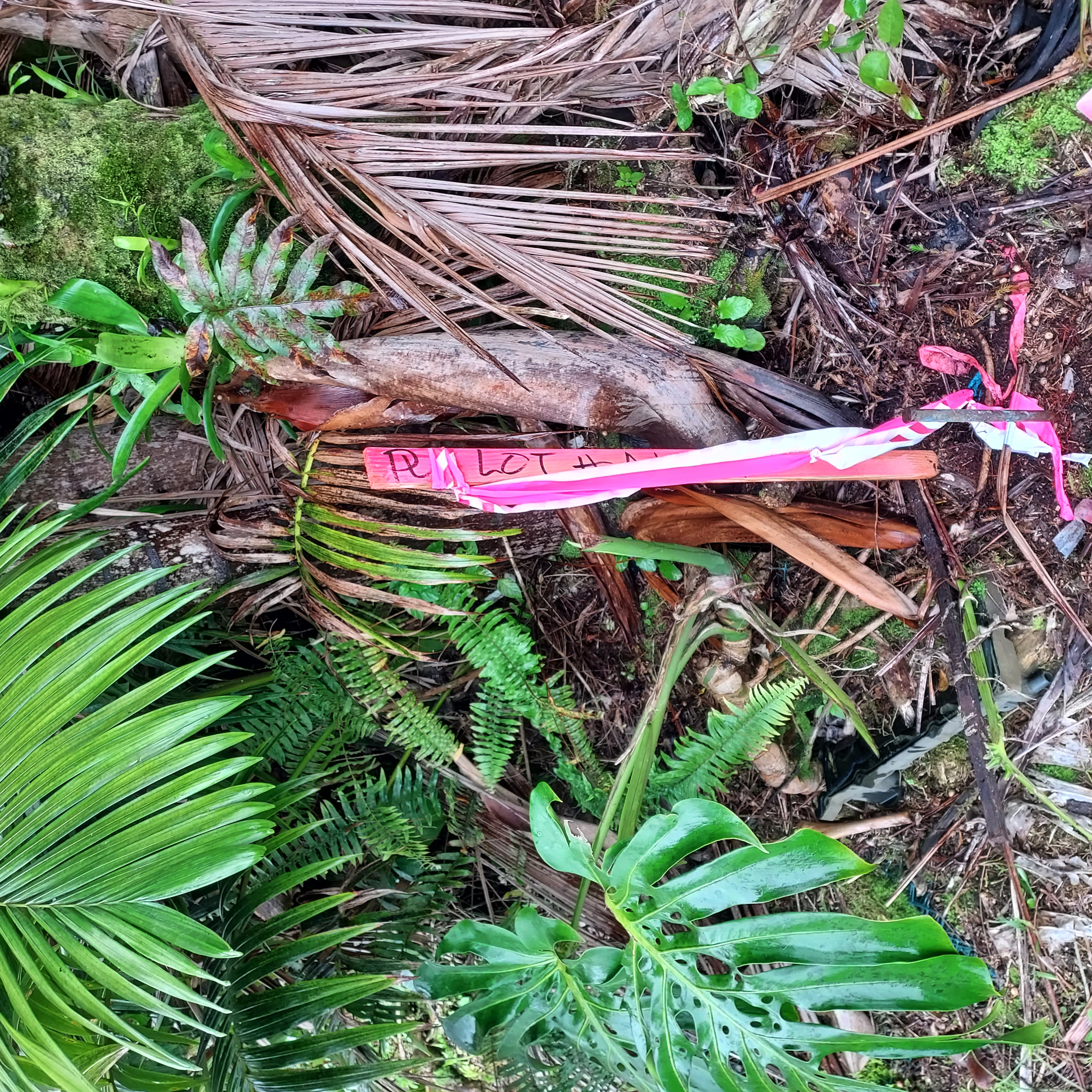 17-737 Lot A Ala Loop Mountain View Kurtistown, HI 96760 - Photo 20 of 28