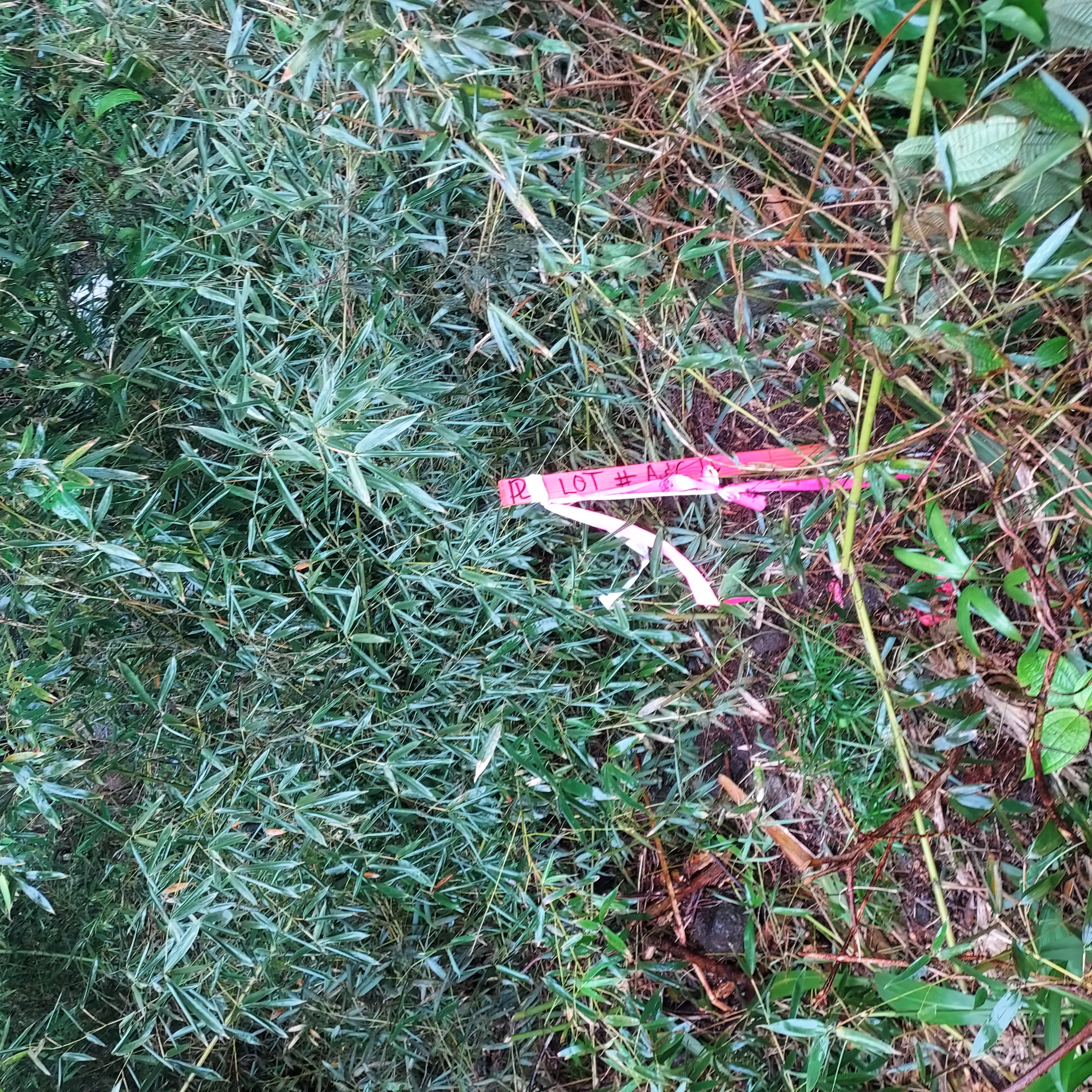 17-737 Lot A Ala Loop Mountain View Kurtistown, HI 96760 - Photo 22 of 28