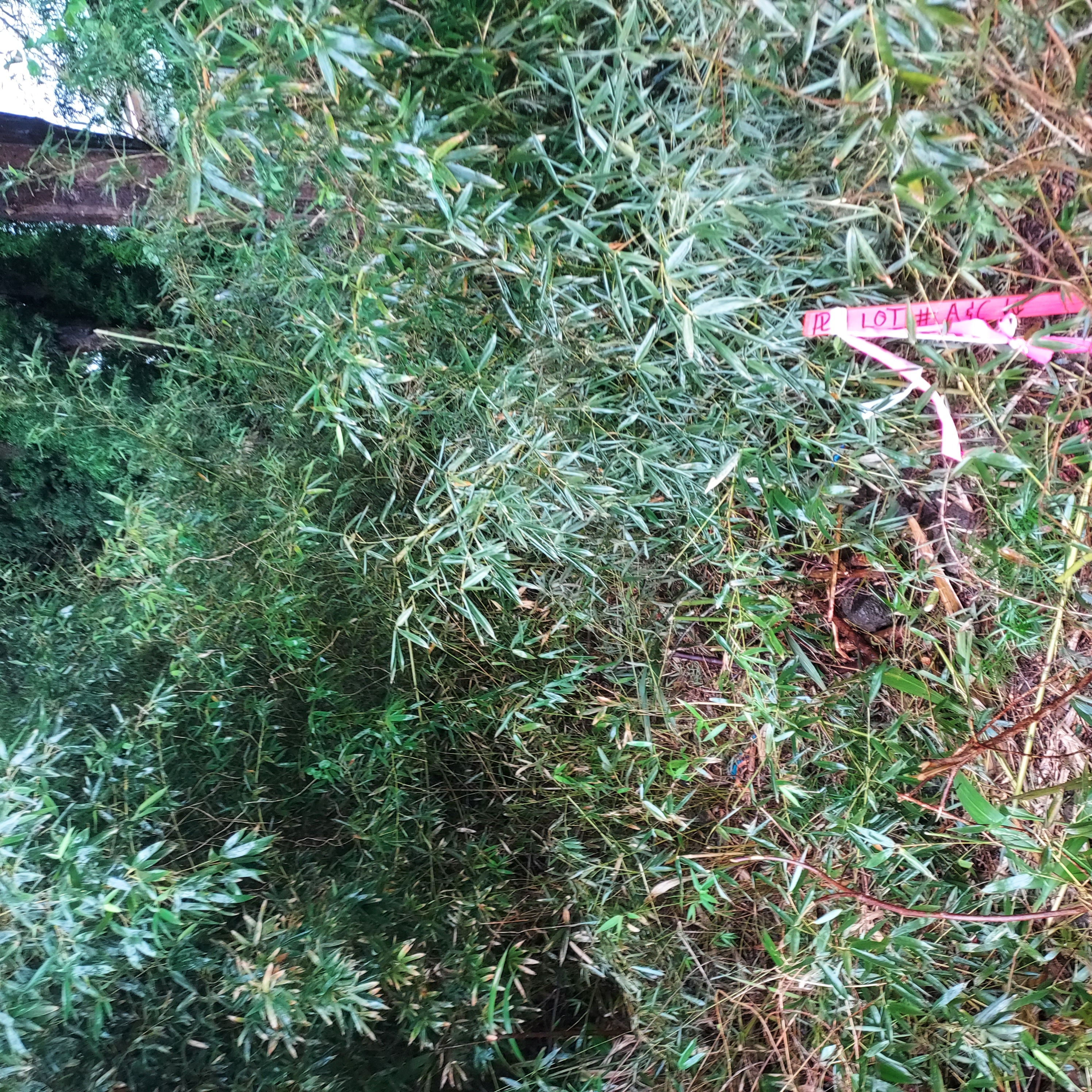 17-737 Lot A Ala Loop Mountain View Kurtistown, HI 96760 - Photo 24 of 28