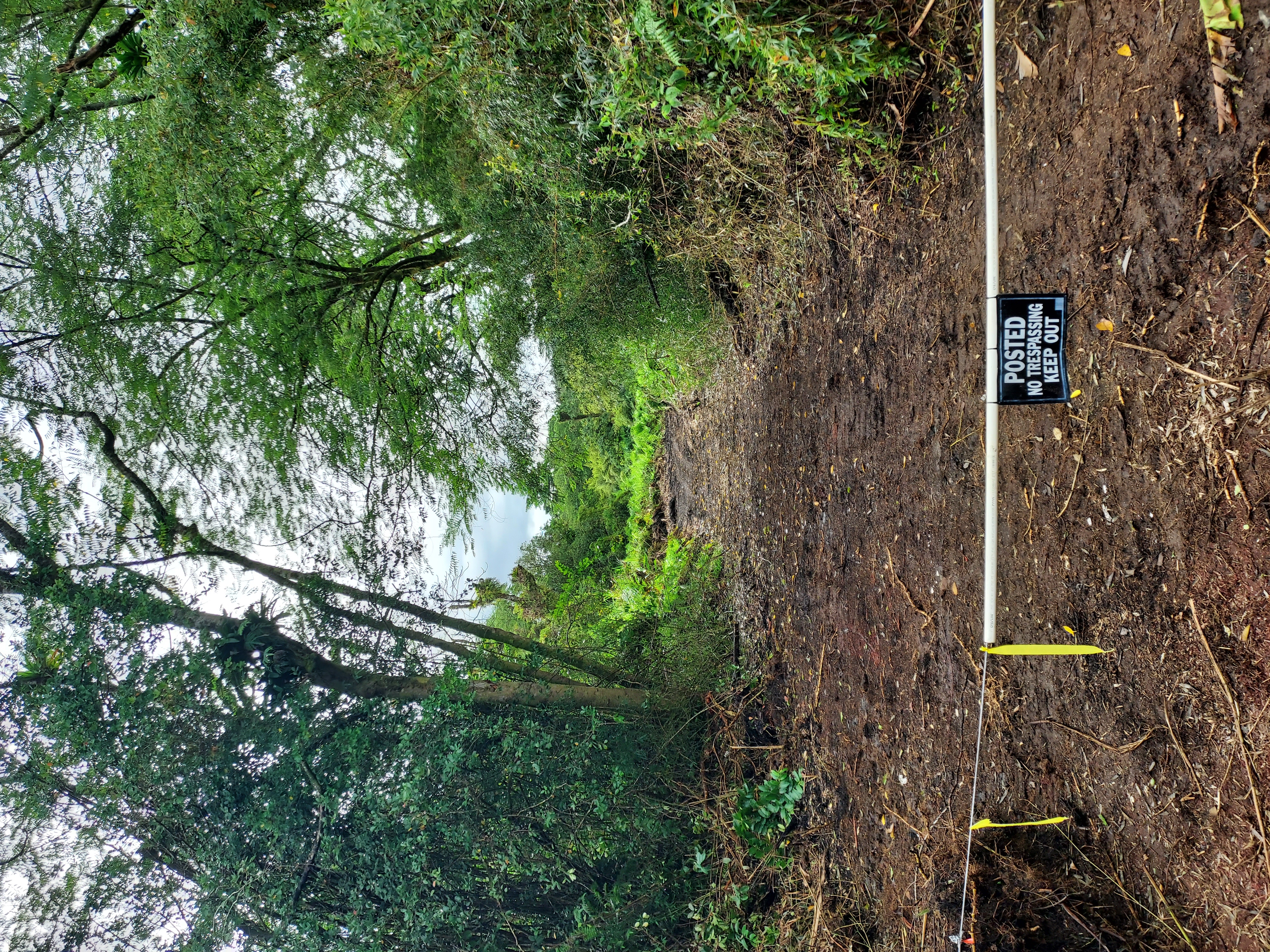 17-737 Lot A Ala Loop Mountain View Kurtistown, HI 96760 - Photo 25 of 28