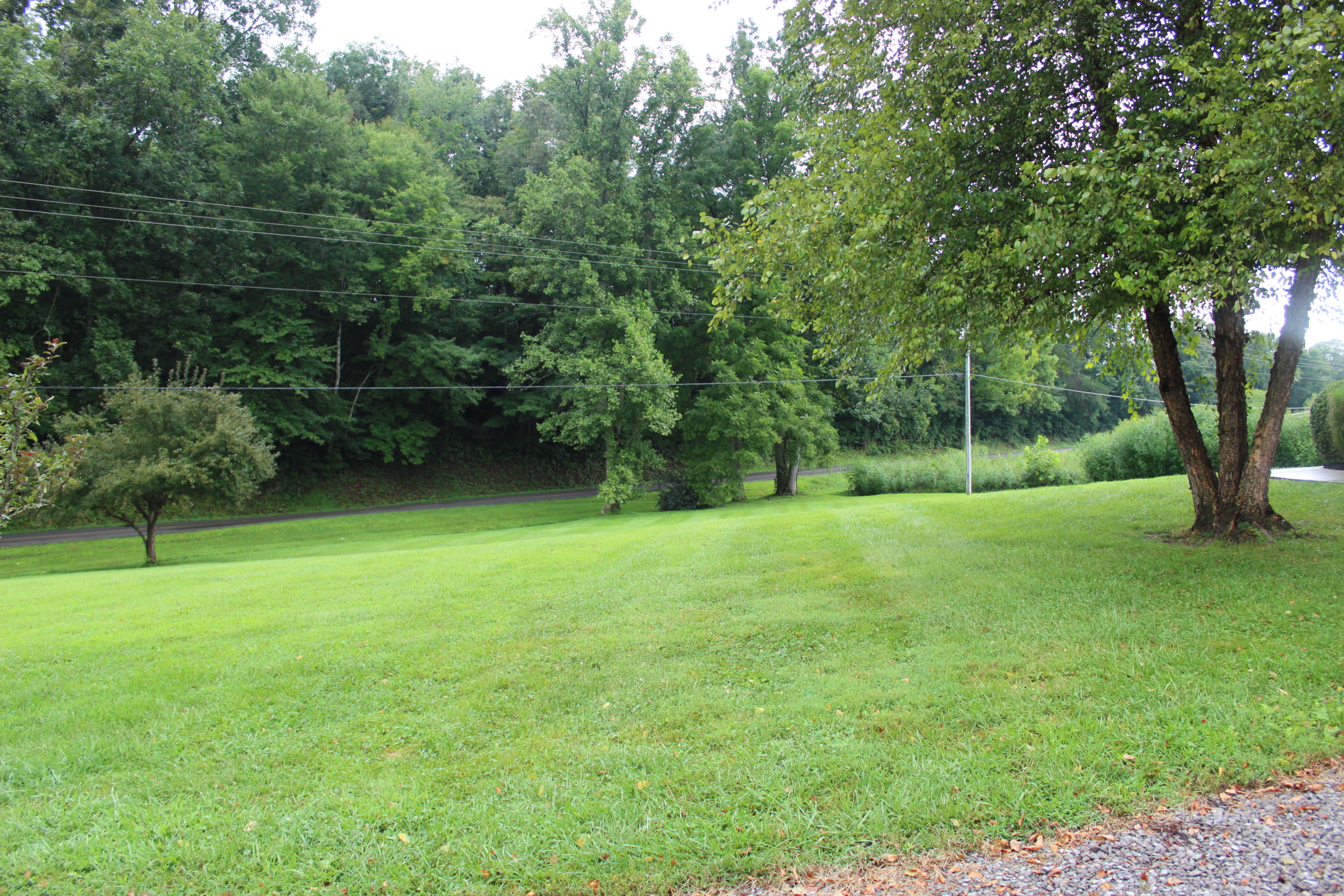 2617 Tater Valley Road Washburn, TN 37888 - Photo 6 of 40 IMG_1865