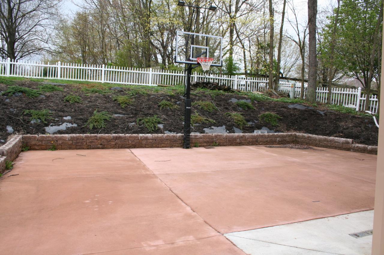 5336 Huntridge Road Roanoke, VA 24012 - Photo 123 of 151 basketball court, with lighting!