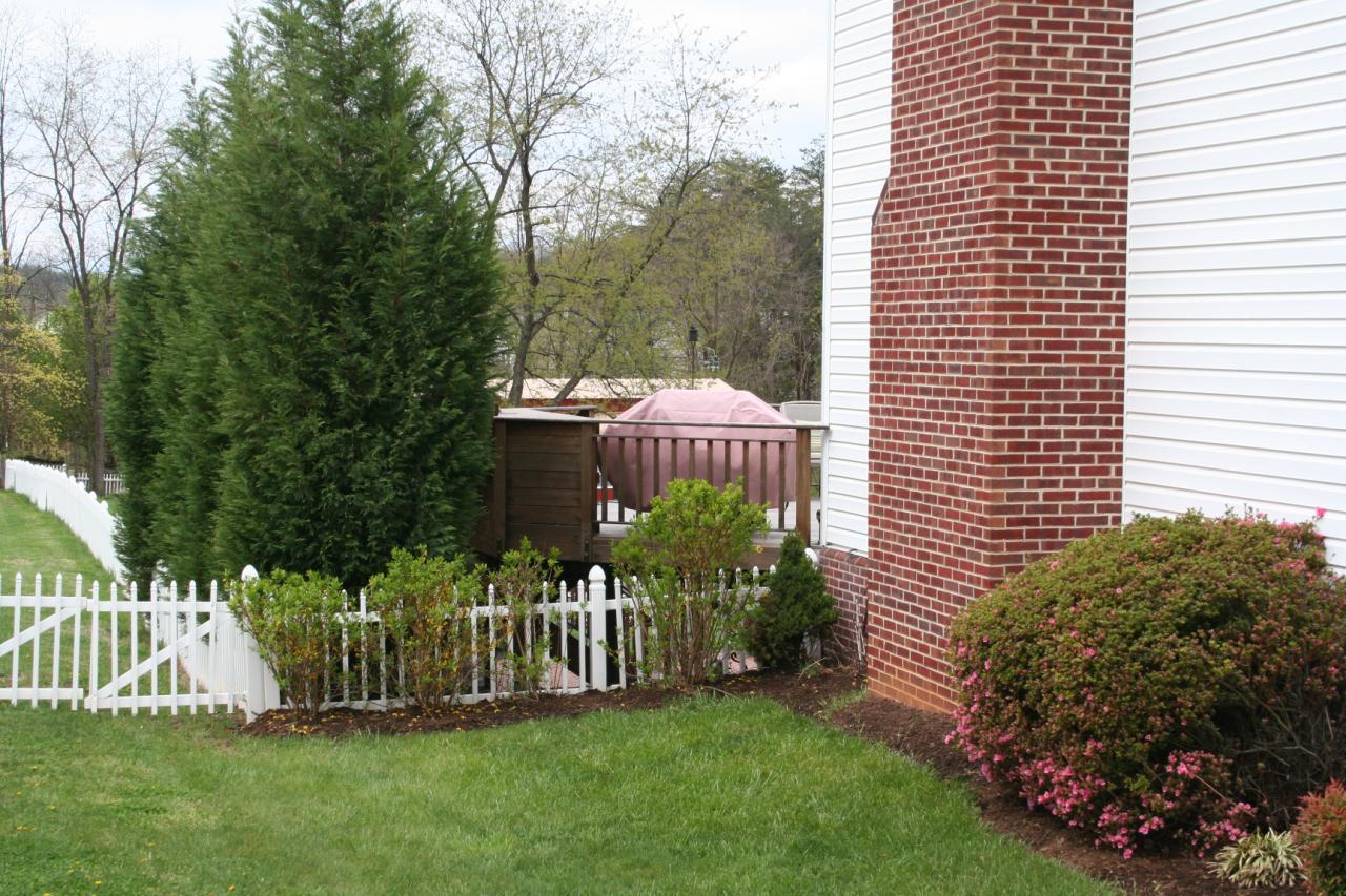 5336 Huntridge Road Roanoke, VA 24012 - Photo 138 of 151 side of home, lovely landscaping