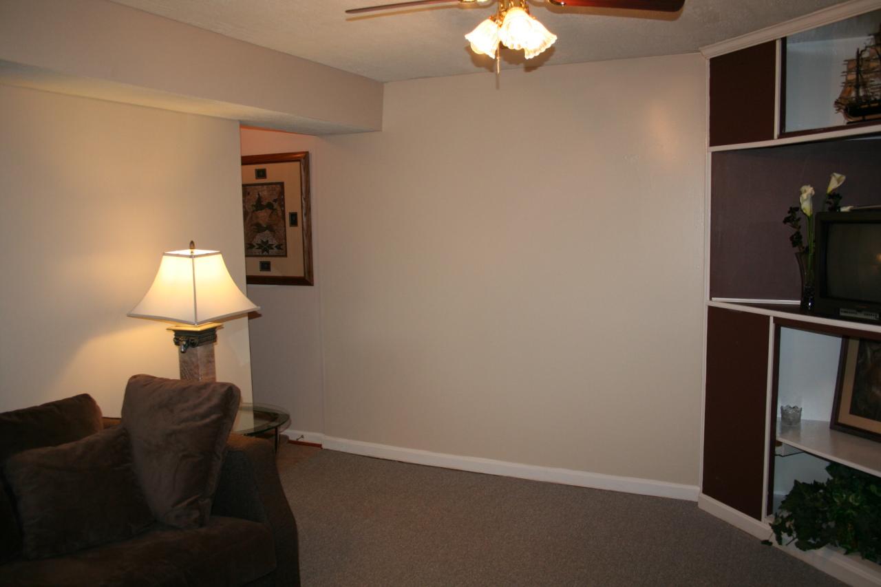 5336 Huntridge Road Roanoke, VA 24012 - Photo 83 of 151 basement family room