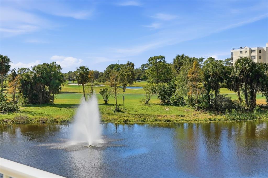 960 Starkey Road, Unit 8106 Largo, FL 33771 - Photo 33 of 49