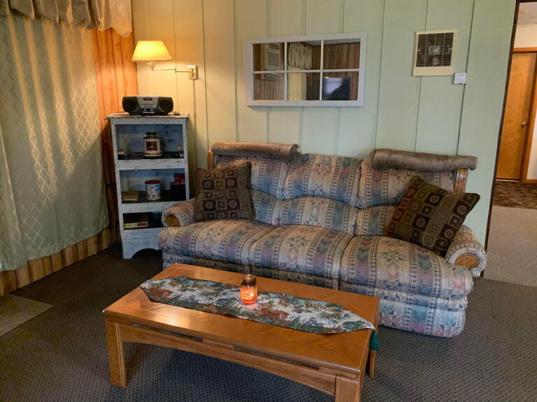 1020 Snake Branch Road Mio, MI 48647 - Photo 9 of 35 Gallery Image 9