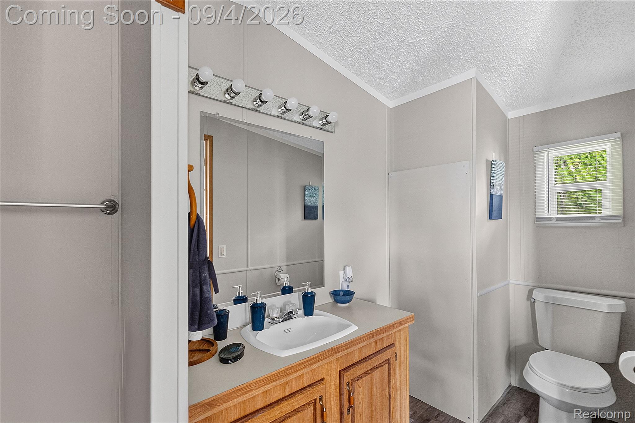 51074 Mott Road, Unit 200 Canton, MI 48188 - Photo 11 of 24 Vanity with wood-finish cabinetry, integrated sink, and laminate countertop