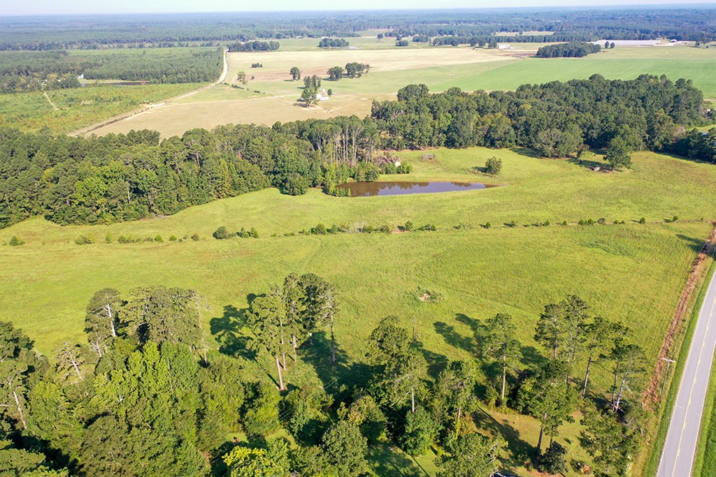 6163 Fruit Hill Road Saluda, SC 29138 - Photo 5 of 17 Gallery Image 5