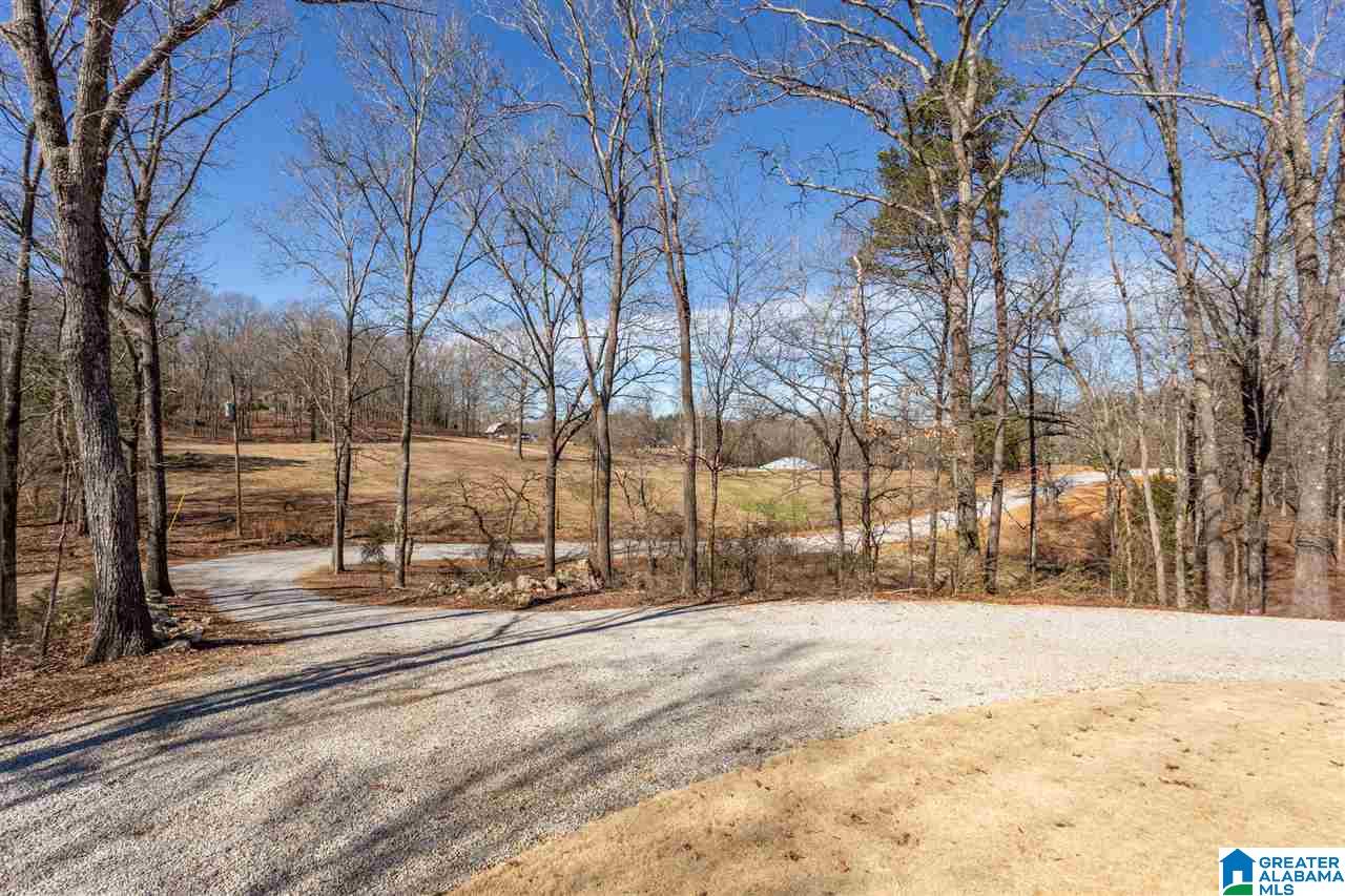 1500 Deer Trace Road Pell City, AL 35125 - Photo 40 of 49
