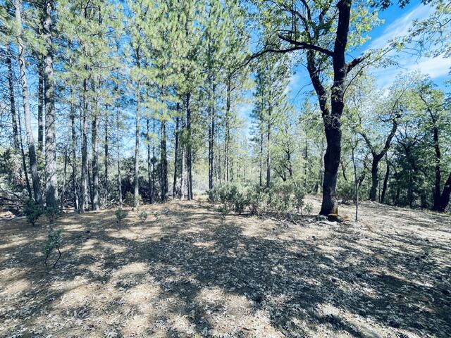 1 Oak Run Road Oak Run, CA 96069 - Photo 5 of 20 More Open areas with oaks and pines
