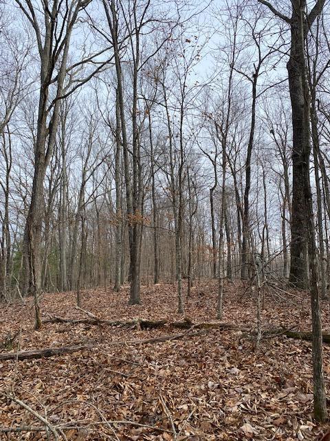 Lot 9 River Road, Unit 9 Decatur, TN 37322 - Photo 3 of 9 Kyle 5