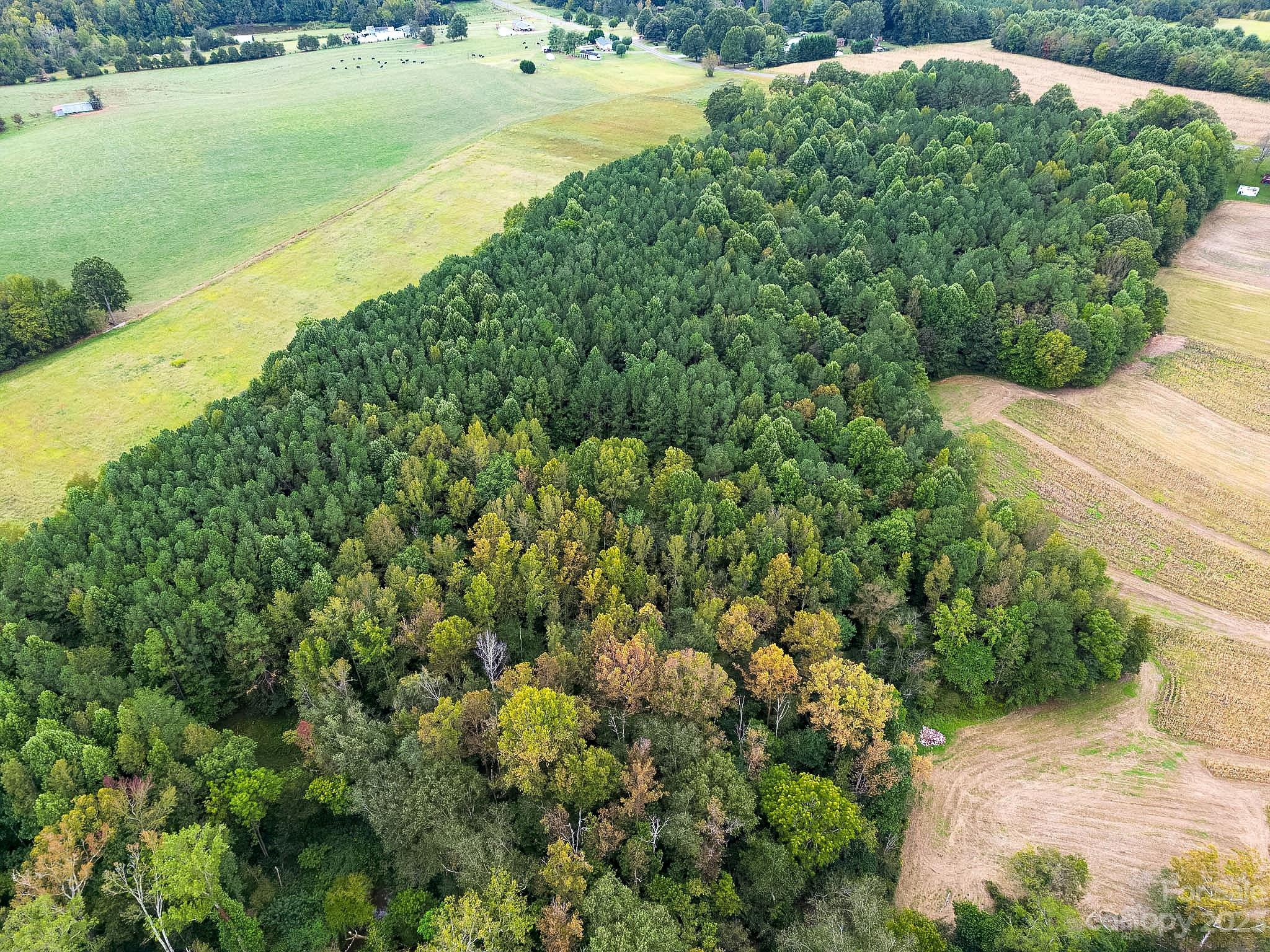 0 Parker Road Mocksville, NC 27028 - Photo 7 of 8 Gallery Image 7
