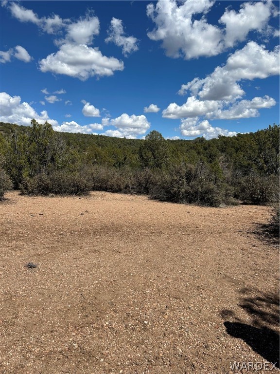 0 Willow Ranch Road Kingman, AZ 86401 - Photo 4 of 8