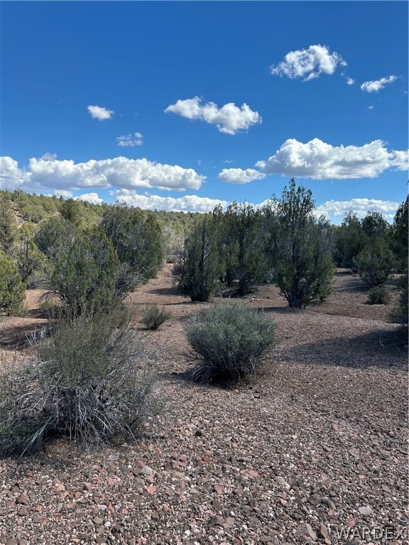 0 Willow Ranch Road Kingman, AZ 86401 - Photo 5 of 8