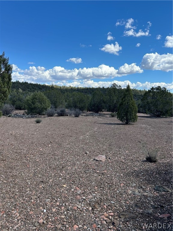 0 Willow Ranch Road Kingman, AZ 86401 - Photo 6 of 8