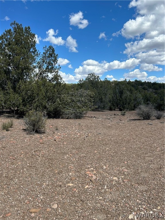 0 Willow Ranch Road Kingman, AZ 86401 - Photo 7 of 8