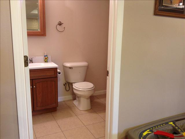 7609 Ida East Road Ida, MI 48140 - Photo 14 of 17 Basement Bath