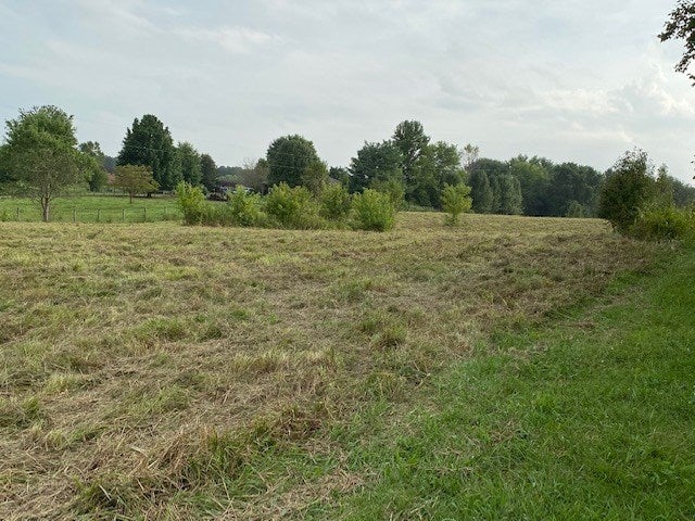 0 Lewis Road Bowling Green, KY 42104 - Photo 1 of 1 Gallery Image 1
