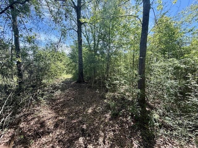 46213 Otis Bickham Road Franklinton, LA 70438 - Photo 11 of 18